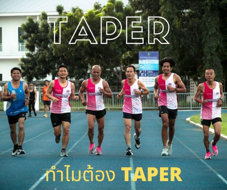 taper-bear-run-thailand